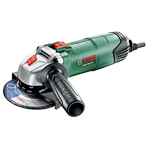 Bosch - Mini broyeur PWS 750