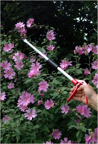 Darlac DP110 - Taille en hauteur